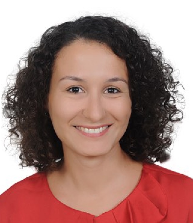 Our Team – MIPA Institute