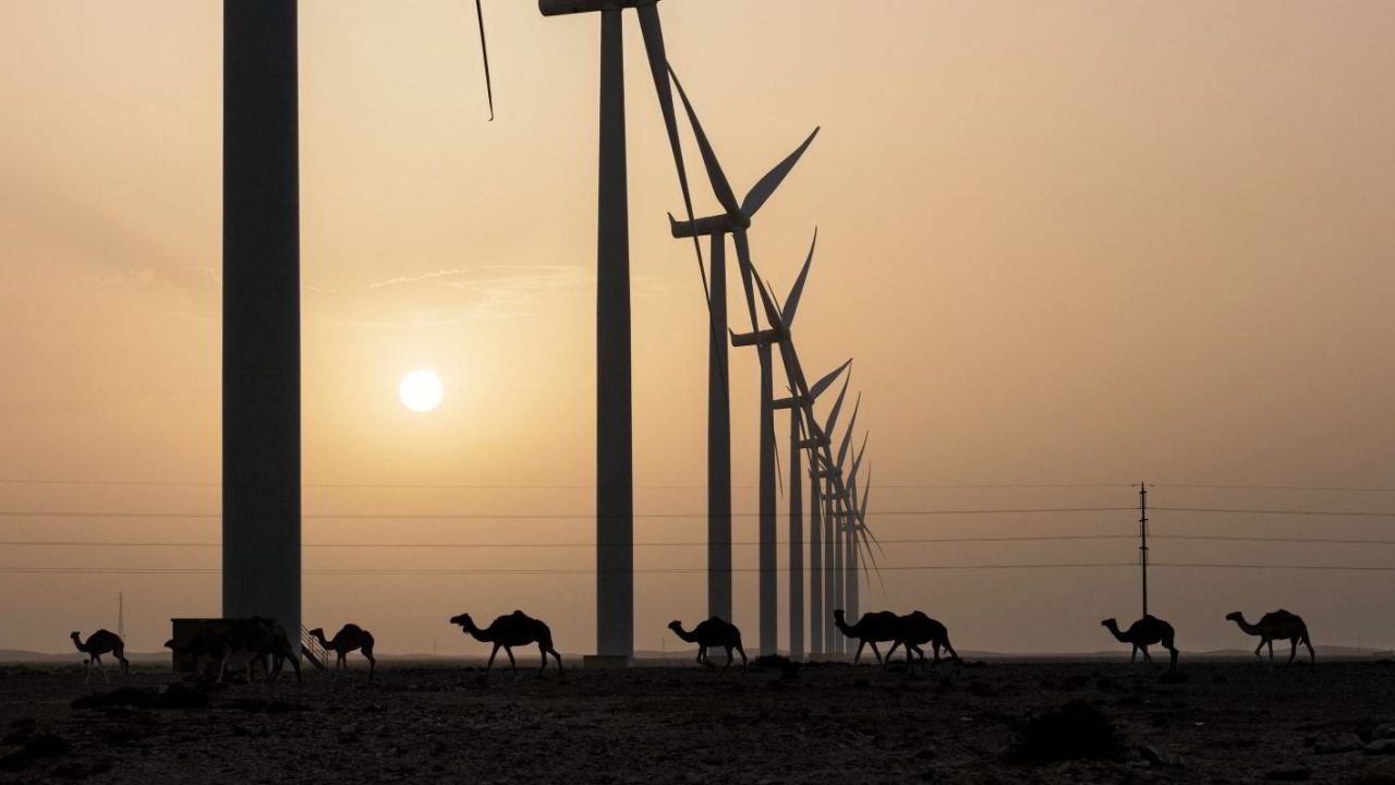 Enhancing Climate Resilience through Green Energy Transition in Morocco