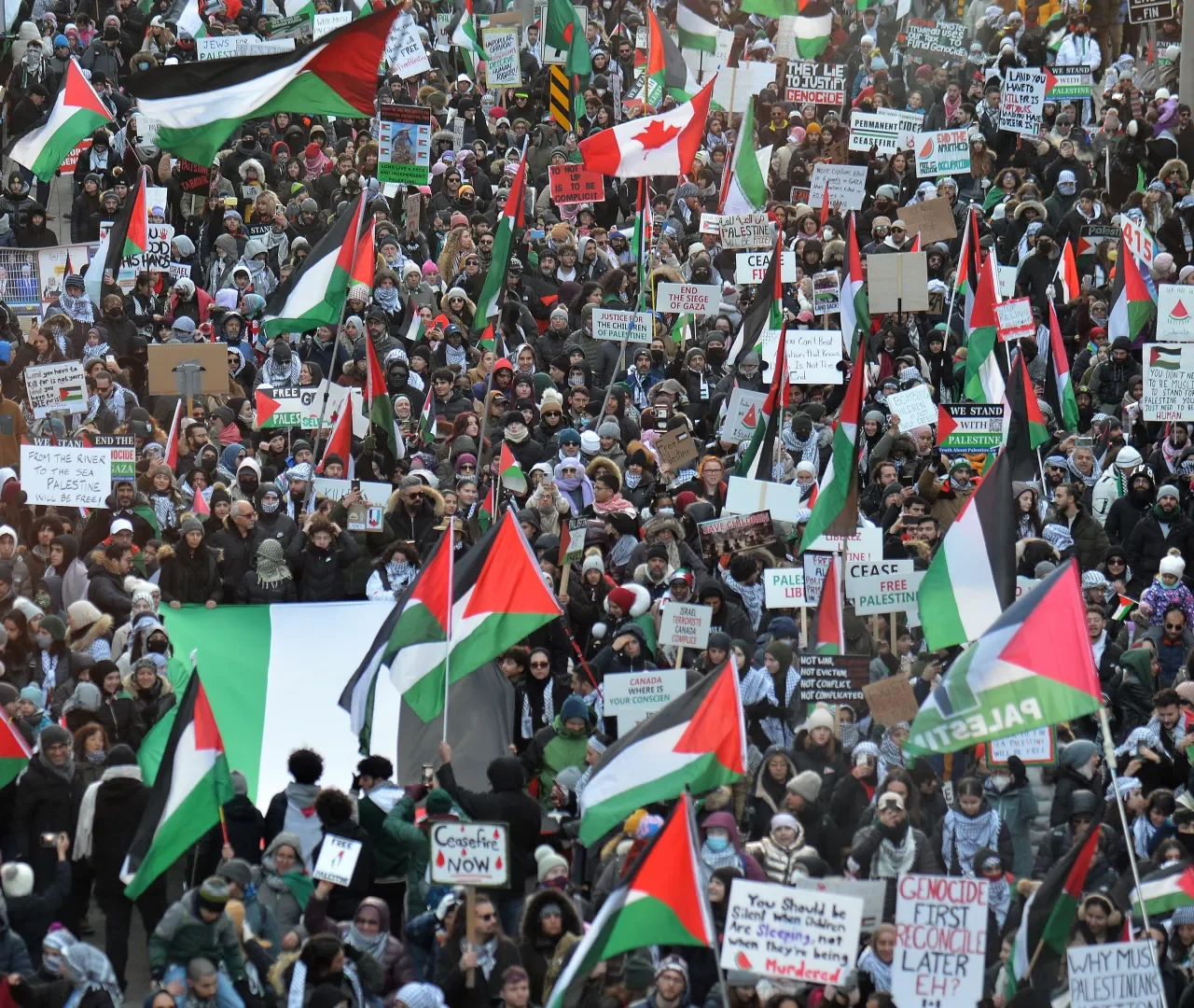 The (Surprising) Silence of Arab Universities on Palestine