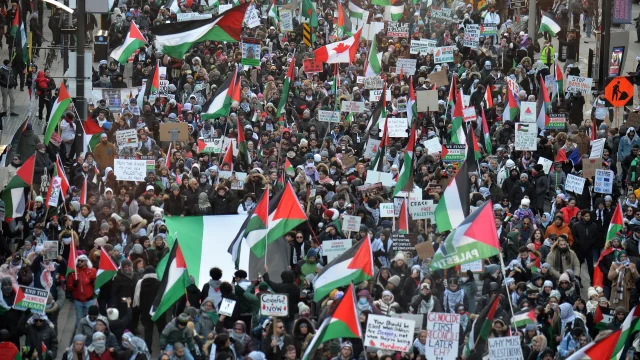 صمت الجامعات العربية (المفاجئ) بشأن فلسطين
