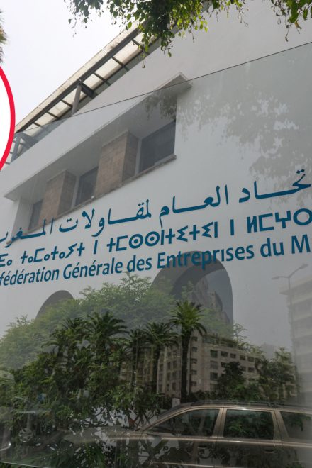 The Private Sector Lobby in the Moroccan Parliament