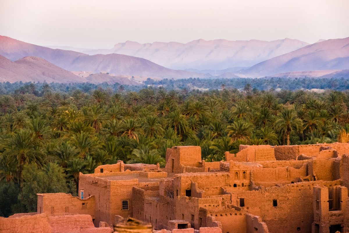 Institutional Capacity of Environmental CSOs in Morocco