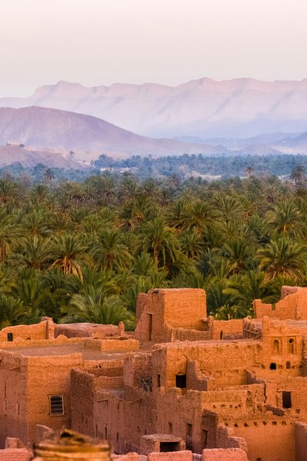 تقرير القدرات المؤسساتية لمنظمات المجتمع المدني البيئية في المغرب