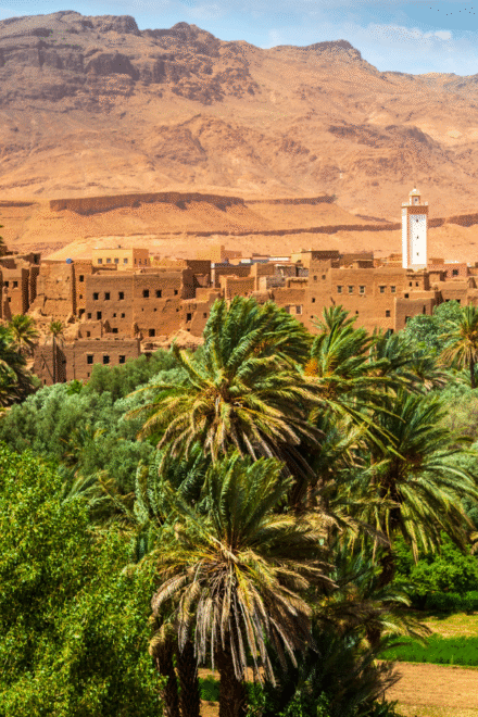 Civil Society as a catalyst for a Just Environmental Transition in Morocco – Report
