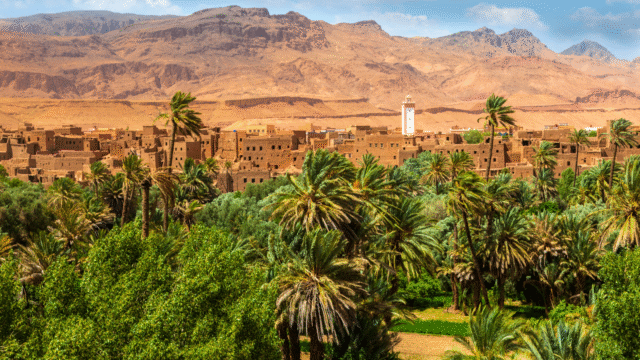 Civil Society as a catalyst for a Just Environmental Transition in Morocco – Report