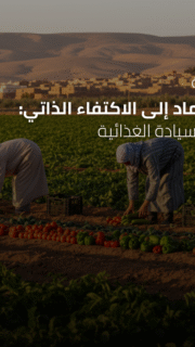 ندوة رقمية: من الاعتماد إلى الاكتفاء الذاتي: مسارات السيادة الغذائية