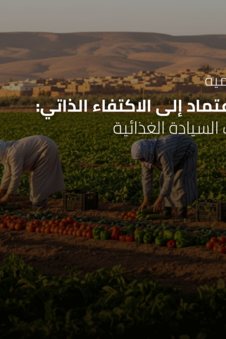 ندوة رقمية: من الاعتماد إلى الاكتفاء الذاتي: مسارات السيادة الغذائية