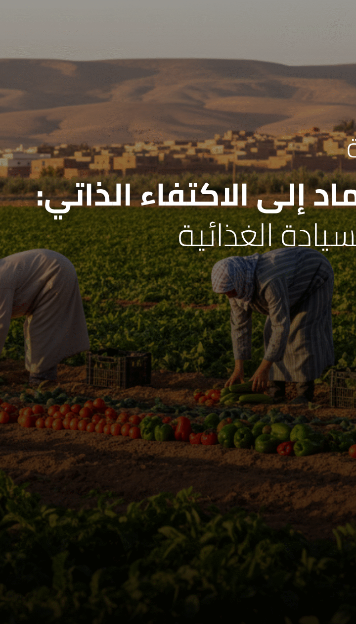 ندوة رقمية: من الاعتماد إلى الاكتفاء الذاتي: مسارات السيادة الغذائية