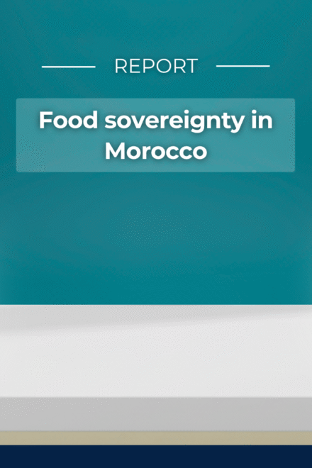 Food Sovereignty in Morocco – Report