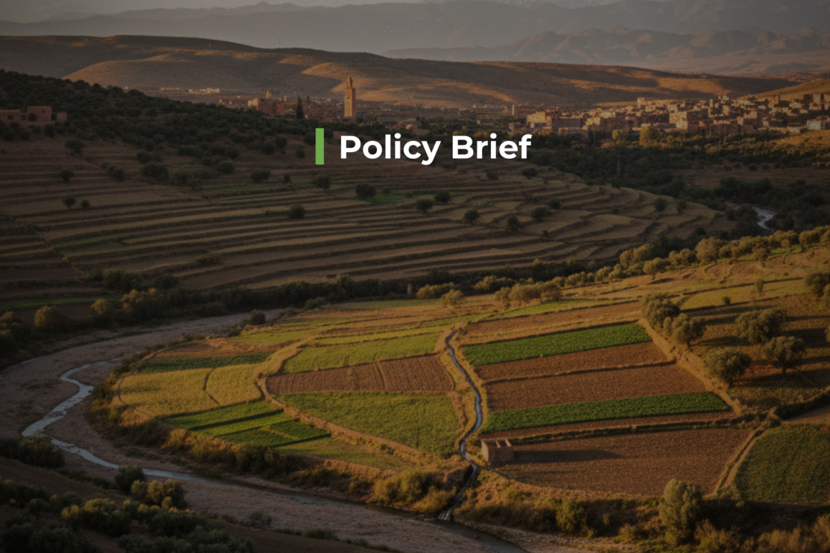 Food Sovereignty in Morocco: Current Situation and Proposed Interventions