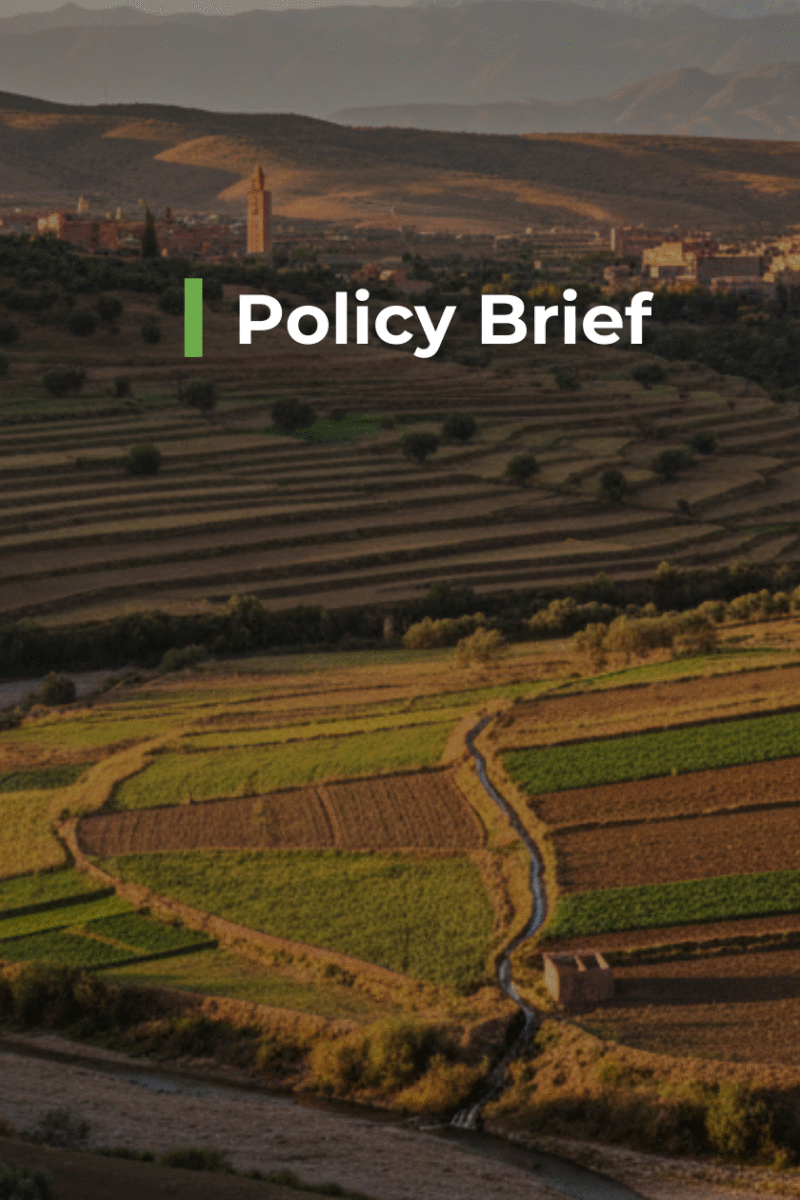 Food Sovereignty in Morocco: Current Situation and Proposed Interventions