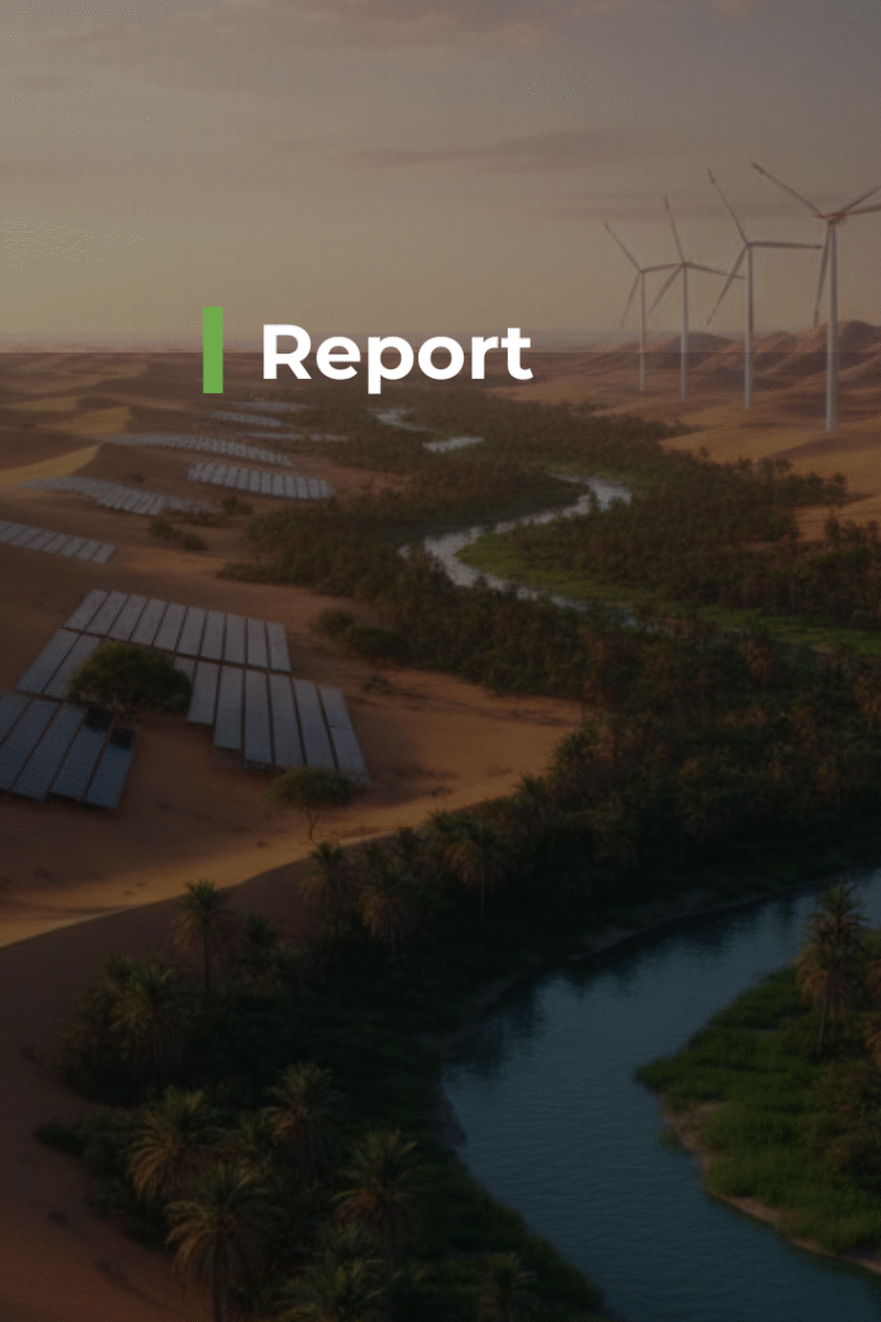 Sustainable Energy Futures: The Role of Civil Society in the MENA Region