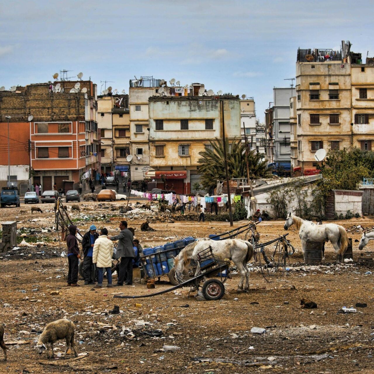 كيف نتجاوز “مغرب السرعتين”؟